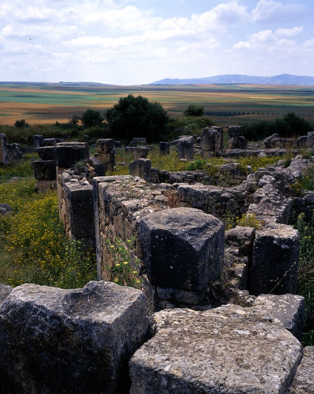 亞特拉斯山區Atlas