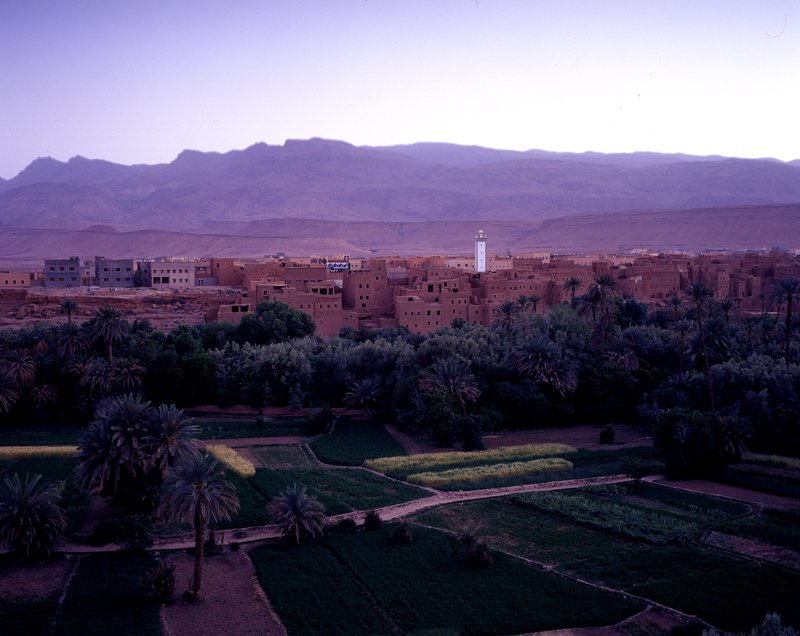 亞特拉斯山區Atlas<br>綠洲裡村莊高聳的叫拜塔大老遠的就看到了，就像歐洲小鎮裡的教堂，宗教在人們心裡有著很大的份量。<br/>