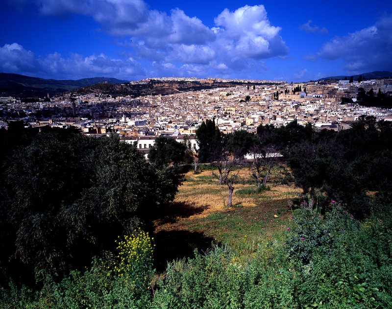 菲斯 Fes<br>從城外小山丘上俯看整個菲斯城，這座有1200年歷史的古城是摩洛哥最古老的皇城。<br/>