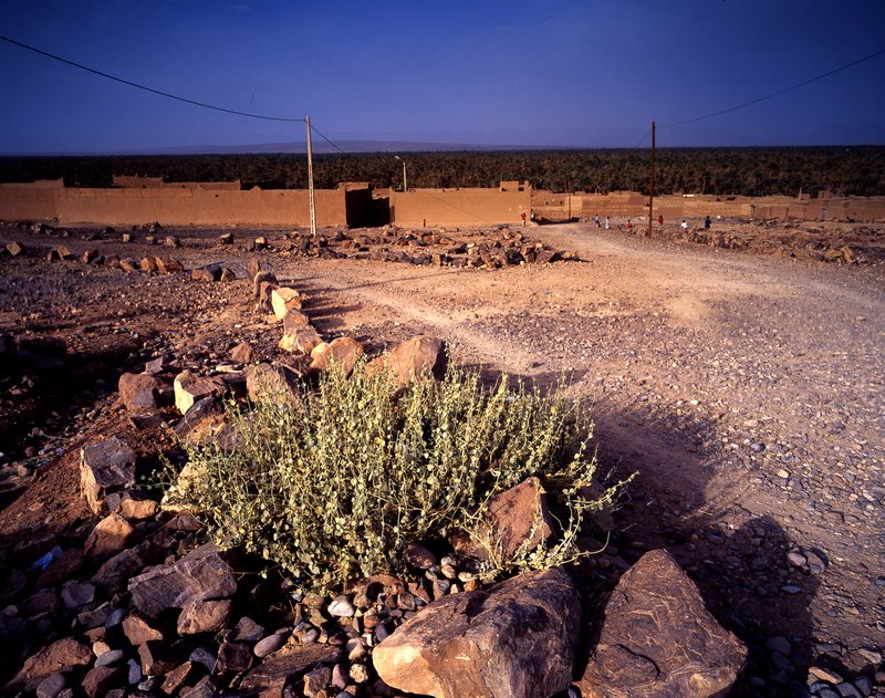 撒哈拉沙漠<br>黃土的建築獨立的在沙礫區裡，景色有點單調與孤寂。<br/>
