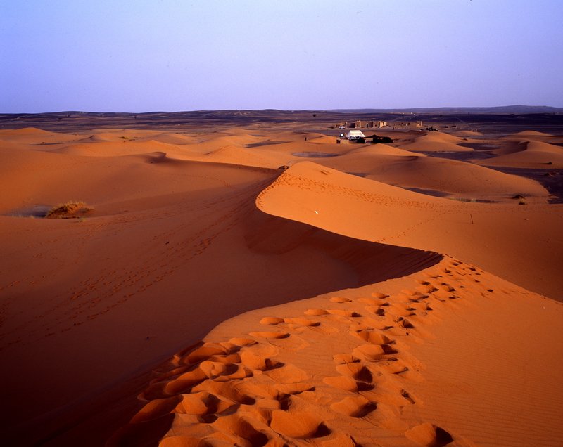 撒哈拉沙漠<br>當天還沒亮我們就整裝出發，在一望無際寂靜的沙漠等待日出。清晨的陽光把沙漠染成一片金黃的大地，此刻我有著眾人皆醉我獨醒的感受。<br/>
