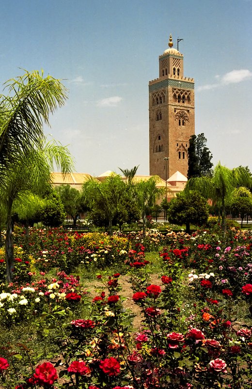 馬拉喀什 Marrakech