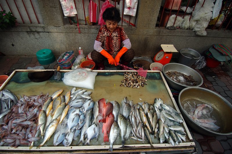 安平追想曲 張家豪<br>地點：安平漁市場<br/>