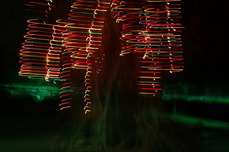 夜盲症與光 張家豪<br>地點:法華寺<br/>這個題目我覺得是所有題目中最難懂的，到現在我還不懂什麼是夜盲症與光，所以就隨便照了！我們在法華寺前拍了30分鐘，拍了許多廟門與晚上不睡覺小狗的相片，想不到最後用的是這張，掛在樹上燈飾故意晃動的照片， 別問我我不知道它跟夜盲症有何關連！<br/>