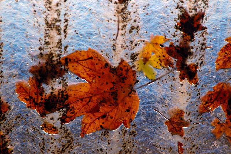 歐洲綠寶石--史羅瓦尼亞