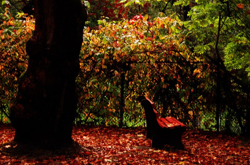 Worthersee湖區<br>夕陽西下湖邊一偶的謐靜氛圍，只有我一人獨享。<br/>