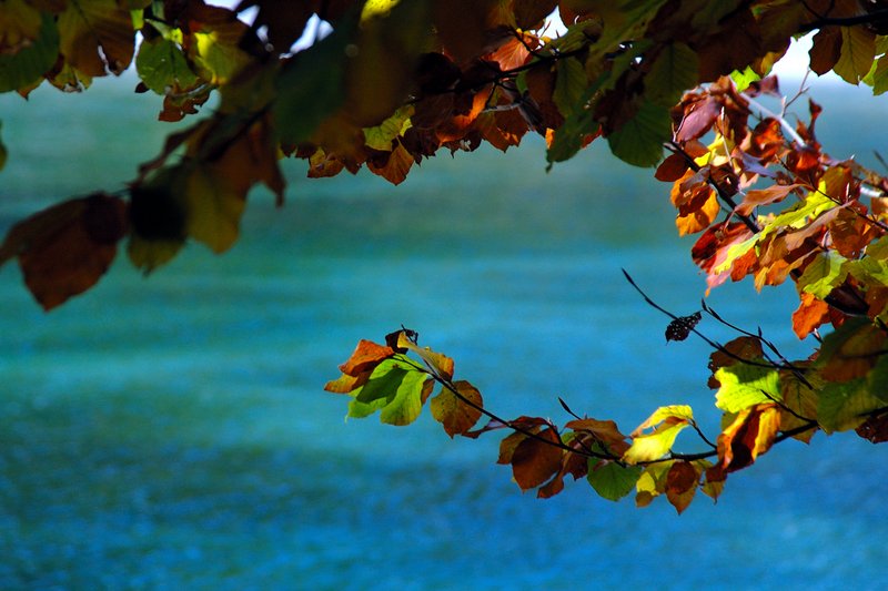 Jasna Lake高山湖泊