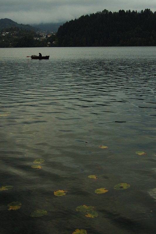 Lake BLED不累的湖<br>夏日湖面開滿了荷花與睡蓮，熱鬧非凡。秋日僅剩幾點荷葉有點使人愁。<br/>