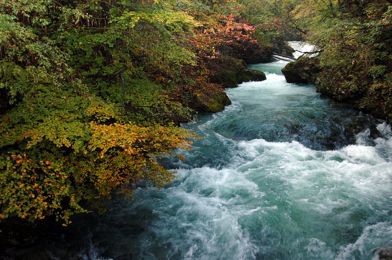 Soteska Vintgar 溪谷<br>這條短短1.6公里的高山溪流，像似日本東北奧入瀨溪流。急流激起的朦朧白水煙幕、岩石上的青苔與層層楓紅，一點也不遜色。<br/>