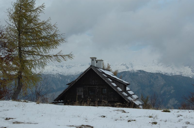Vogel滑雪中心<br>當我們乘坐纜車來到海拔1600公尺的滑雪中心，戶外的溫度頓時從20度降為4度。滿眼翠綠的山景轉成靄靄白雪，我不禁玩起打雪仗的遊戲。<br/>