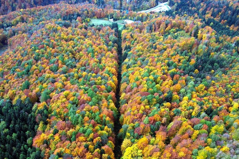 Velika planina 山區<br>整個楓紅的山頭被一條山徑切成一半。<br/>