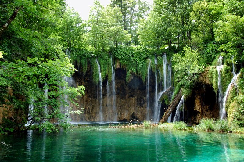Plitvice lakes national park<br>此處是禁止游泳、烤肉、釣魚的，高高低低的地勢形成無數天然的瀑布，自然環境被保護得非常好，清澈見底的湖水魚兒悠游其中，真是幸福的魚兒!<br/>