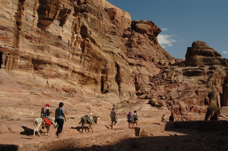 petra 佩特拉<br>古城區內有不同的動物交通工具可以搭乘，有驢子、馬、與駱駝。最可憐的應該是驢子，一路上常看到瘦小的驢子，載著身材魁梧的老外爬上陡峭山坡，有點不忍。<br/>