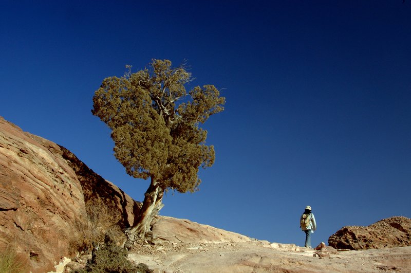 petra 佩特拉<br>遠遠的看到這位小朋友要揹著背包去流浪。<br/>