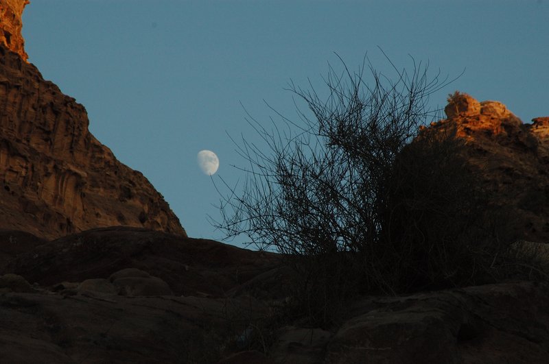 petra 佩特拉<br>當落日餘暉照在山壁上，絢出美麗的金黃色，而悄悄的月亮已爬上枝頭。<br/>