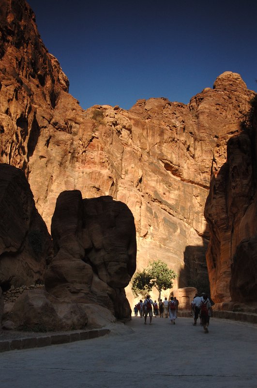 petra 佩特拉<br>蛇道(Siq)兩側高聳的岩壁，隨著陽光的照射而反射出獨特且美麗的紋路。<br/>