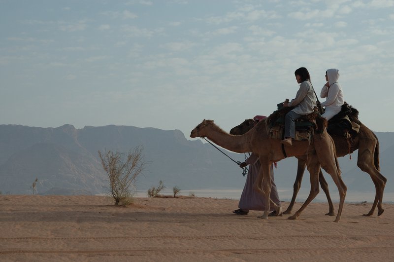 Wadi Rum 瓦第倫<br>清晨時刻伙伴們騎乘著駱駝，悠閒地漫遊這片荒蕪大地，苦的是我這個攝影師跟著駱駝跑。<br/>