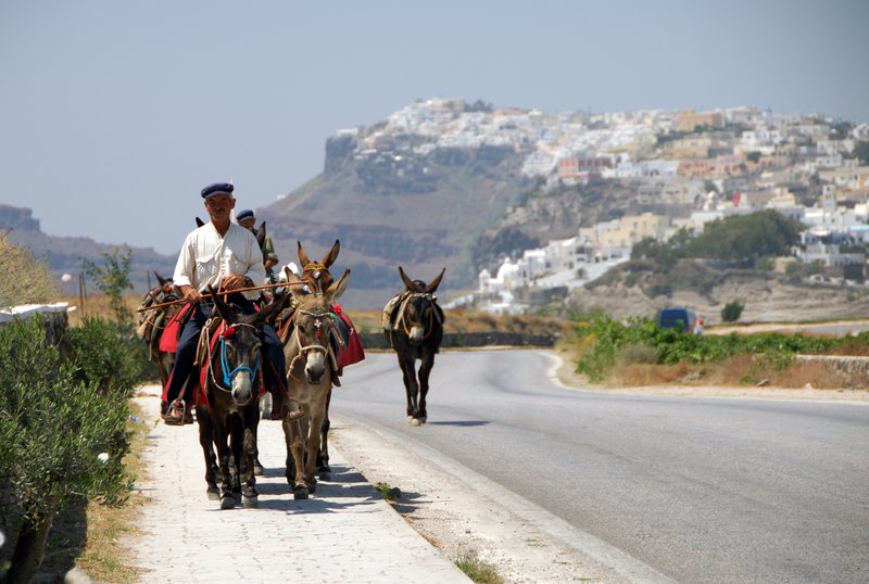 Fira 費拉<br>這一天租著機車逛全島，一離開費拉，就看路旁騎驢的阿伯。馬上停下車來，準備好傢伙，就等他自動入鏡。<br/>