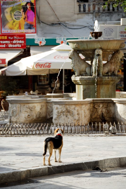 Iraklion 伊拉克里翁<br>天氣好熱，獅子噴泉裡應該可以好好泡澡，奇怪今天怎麼有圍欄擋住呢？<br/>