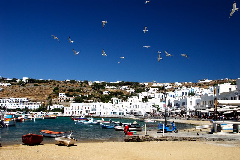 Mykonos米克諾斯<br>Mykonos港口漂亮的港灣與海鷗，傳說中愛吃的鵜鶘，今天卻沒有上班。<br/>