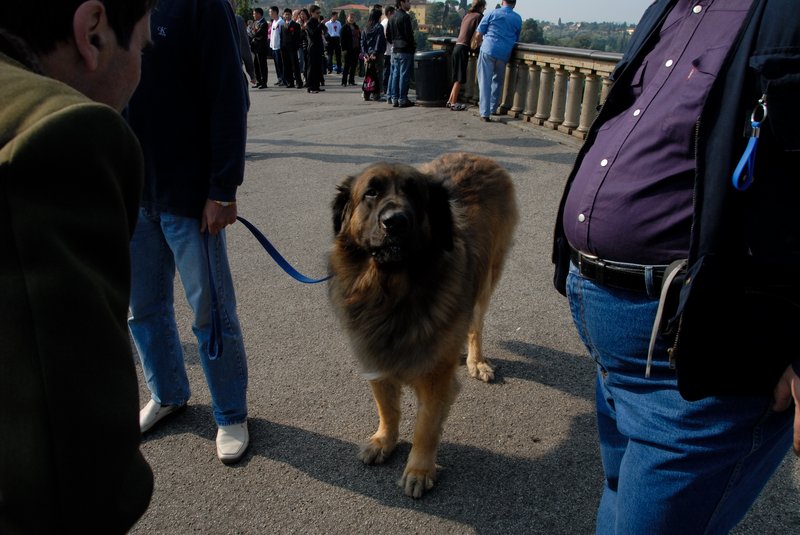 Florence 佛羅倫斯