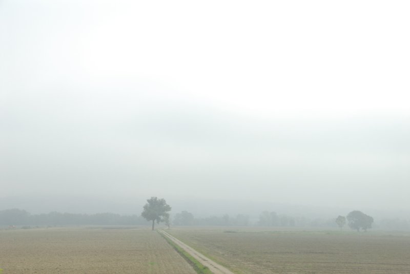 Siena 西恩納往羅馬的路上<br>其實霧沒這麼大啦！我不小心將曝光over兩格，不過還是錯的很迷人！<br/>