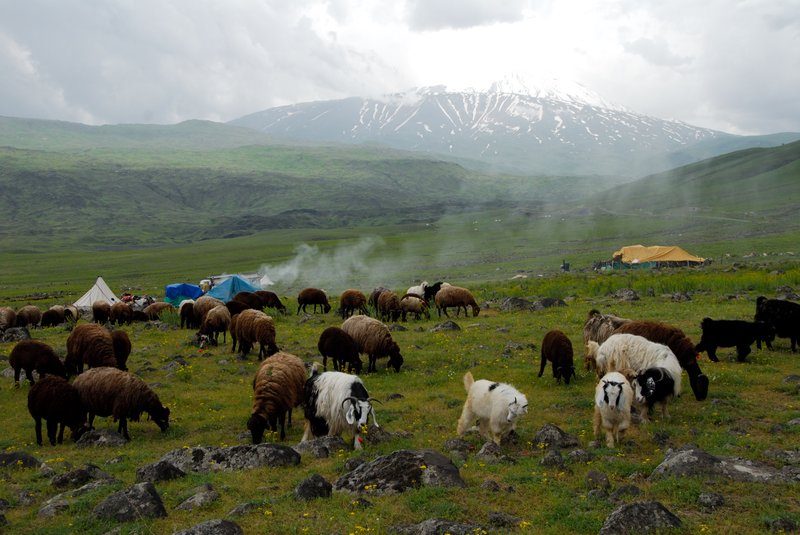 阿哉<br>中午時分牧羊人正在野炊，後方白雪靄靄的山頭就是亞拉拉特山(Ararat Mt.)。<br/>