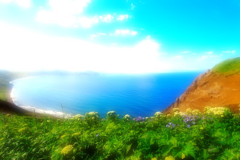 初夏多雨的--北海道