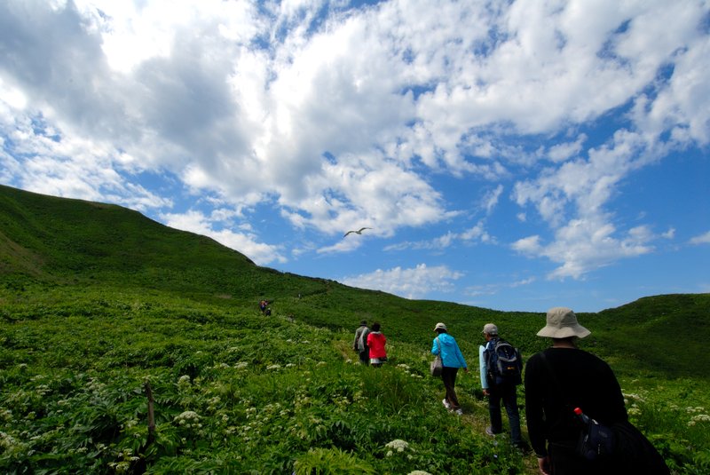 北海道 禮文島<br>今天沒有走很多山路，早上四小時下午三小時，慢慢逛。<br/>