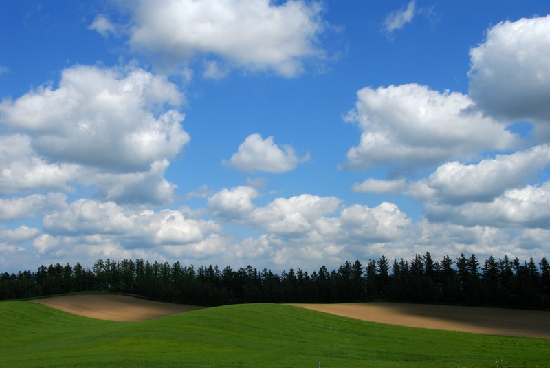 北海道 美瑛<br>三愛之丘附近的丘陵地，雲的影子在上面畫素描。<br/>