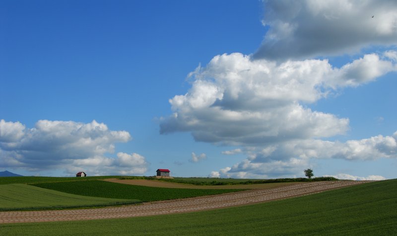 北海道 美瑛<br>從前田真三拓真館，到四季彩之丘(展望花田)這段路，是我覺得"景觀之路"中最美的一段路。超寬廣的丘陵地，讓雲的影子漫步在其中，伴隨著小巧的農舍，還有遠處十勝連峰的白雪，偶爾插花的烏鴉，再再都讓我不忍離去。<br/>