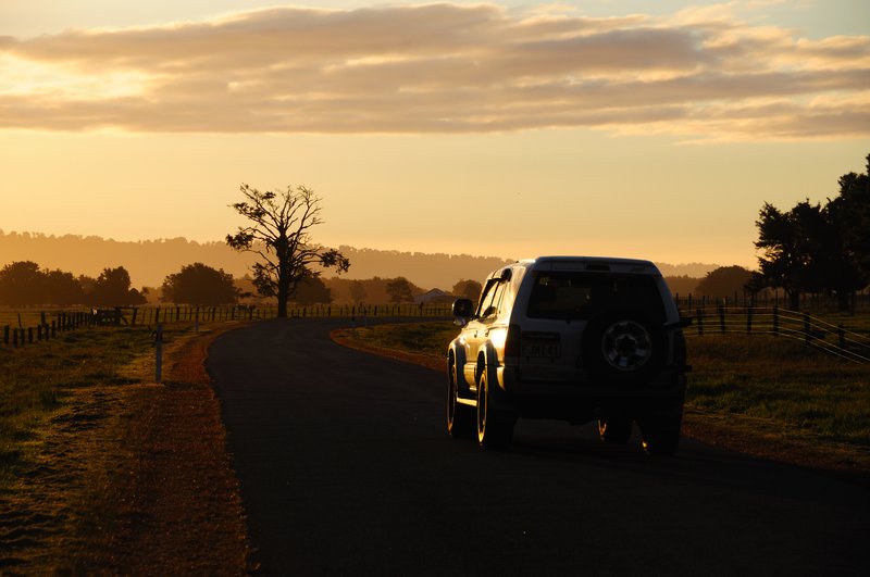 Fox Glacier福斯冰河