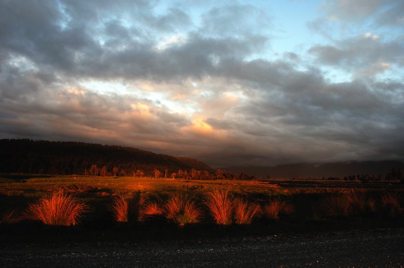 Fox Glacier福斯冰河<br>前往海邊去看夕陽。<br/>