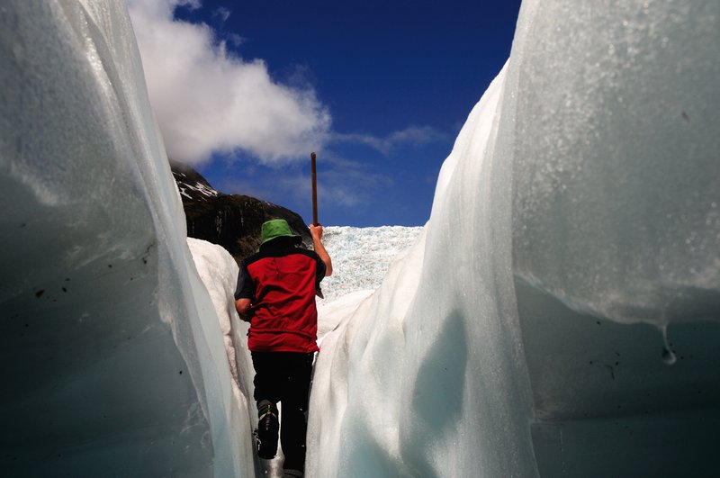 奇異果的故鄉--紐西蘭