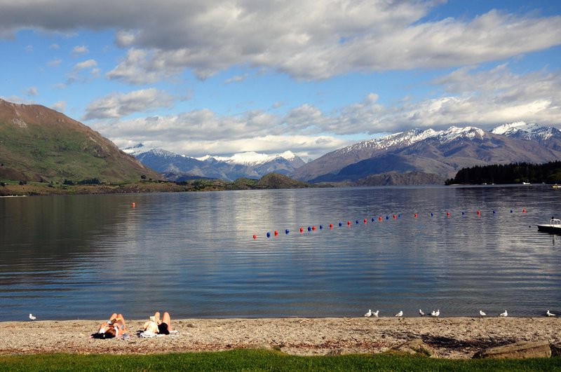 奇異果的故鄉--紐西蘭