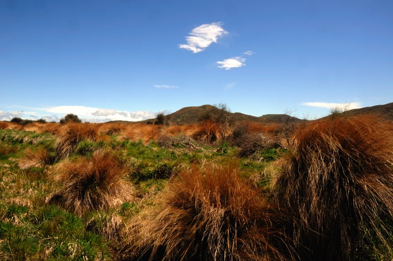 Lake Te Anau蒂阿瑙湖<br>要去峽灣的路上，天氣很好，雲很可愛，風有點大，人很興奮！<br/>