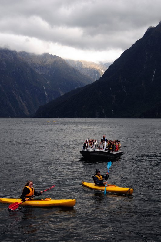 Milford Sound米佛爾峽灣<br>船上免費使用的獨木舟，可以划近岸邊觀看企鵝。<br/>