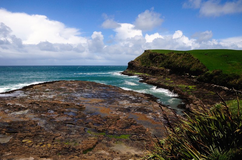 Curio bay<br>聽說夏天裡，這裡可以看企鵝回家，與海豚共游，看海獅打架，不過今天啥都沒有！<br/>