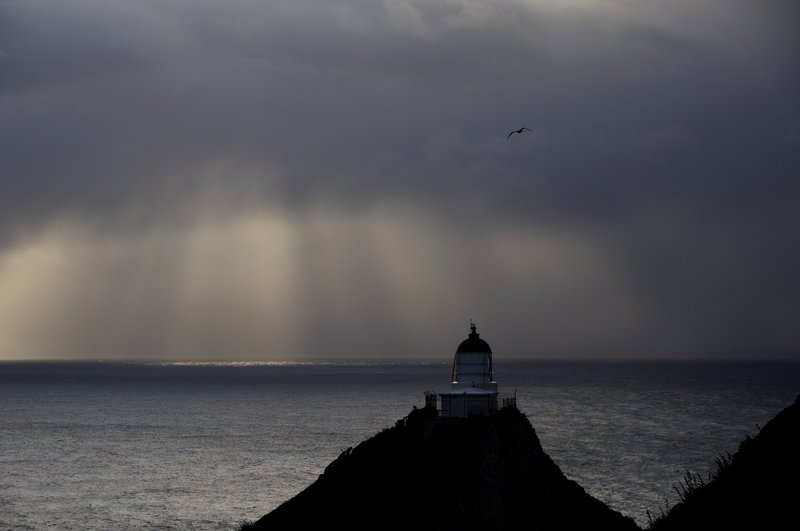 Nugget point<br>這是南島南部非常有名的，攝影景點Nugget point，為了拍照我特地在此過夜。<br/>