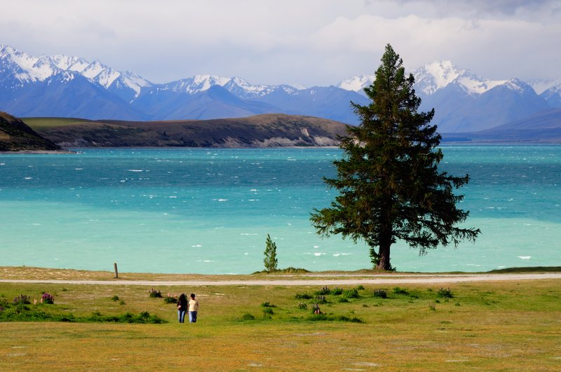 Lake Tekapo蒂卡波湖<br>坐在餐廳裡，眼睛看著Lake Tekapo湖波風情，嘴巴吃著道地的日本料理，美麗人生！<br/>