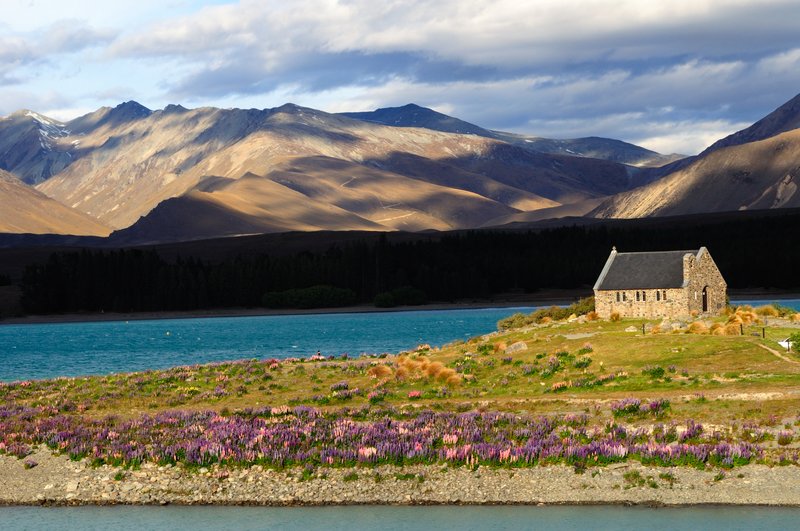 Lake Tekapo蒂卡波湖<br>Tekapo湖畔遍地色彩繽紛的魯冰花，在徐徐微風中搖曳生姿。朵朵雲彩快速移動，妝點著遠方的藹藹山頭。短短的時間內就看到光線變換，造就特有的牧羊人教堂風光。<br/>
