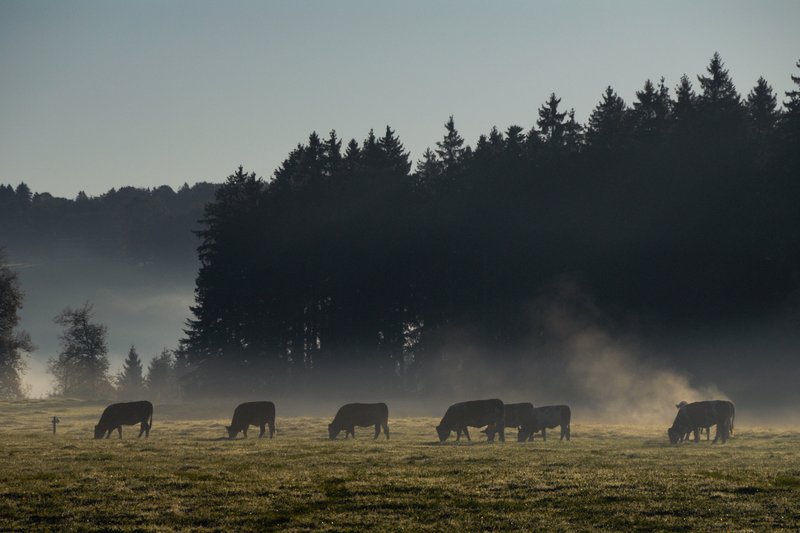 楚格峰山區 Zugspitze<br>這個景是車子開過去，不甘心再回頭，停下來拍照，果然回頭是對的。<br/>