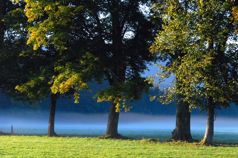楚格峰山區 Zugspitze<br>雖然楓葉不紅，但是也很有氣氛。這個景是車子開過去，不甘心再回頭，停下來拍照，果然回頭是對的。<br/>