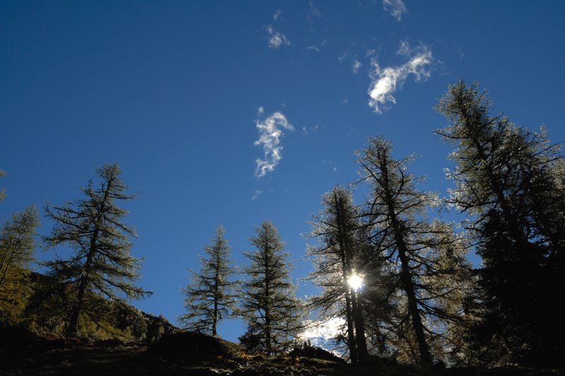 大鐘山區 Grossglockner