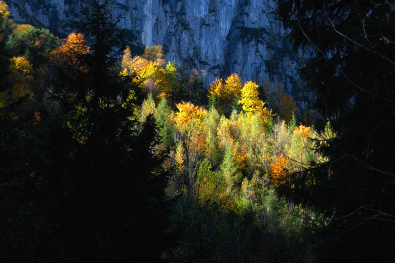 高薩湖 Gosausee<br>再美麗的旅行，也有落幕的時候，下次英國再見。<br/>