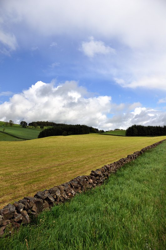 湖區<br>一個不知道的地方。<br/>