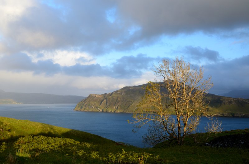 蒼穹島 Portree Isle of Skye<br>度假小屋後的探險小徑，可以通往Portree。<br/>