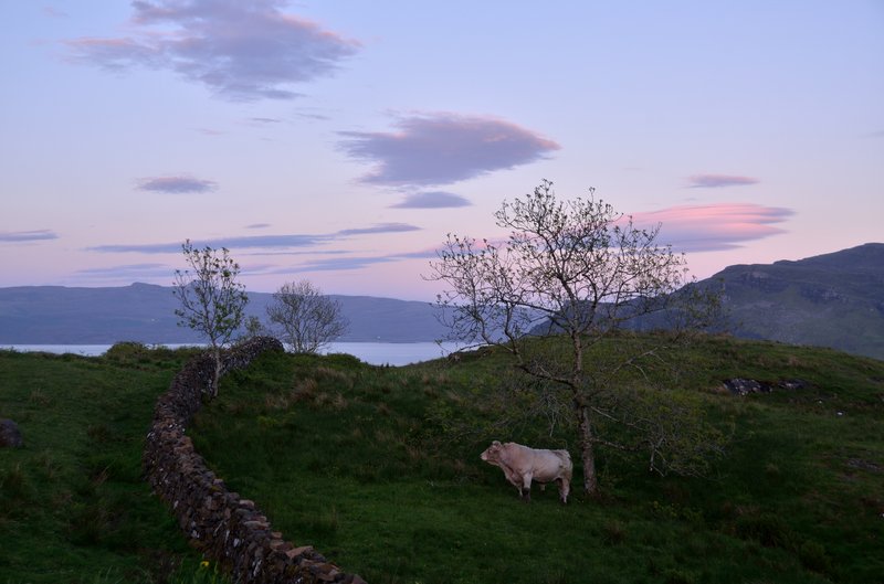 蒼穹島 Portree Isle of Skye
