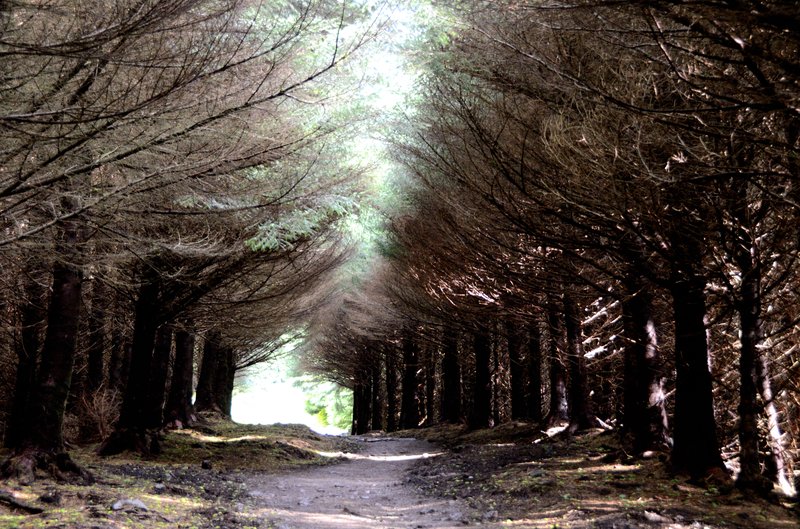 蒼穹島 Isle of Skye<br>要去拜訪老人岩，是要有點辛苦走點路，不過沿途風景很棒。<br/>