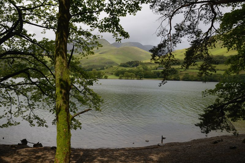 湖區 Buttermere<br>這樣幽靜的湖邊，希望台灣也有。<br/>